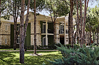 Robinson Nobilis Genel 3